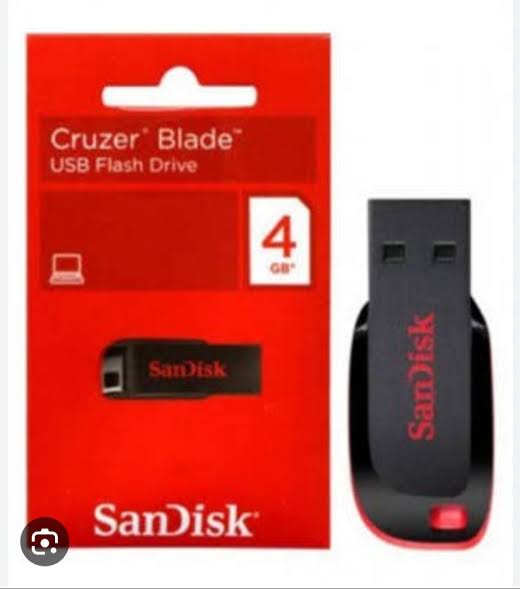SanDisk 4GB 