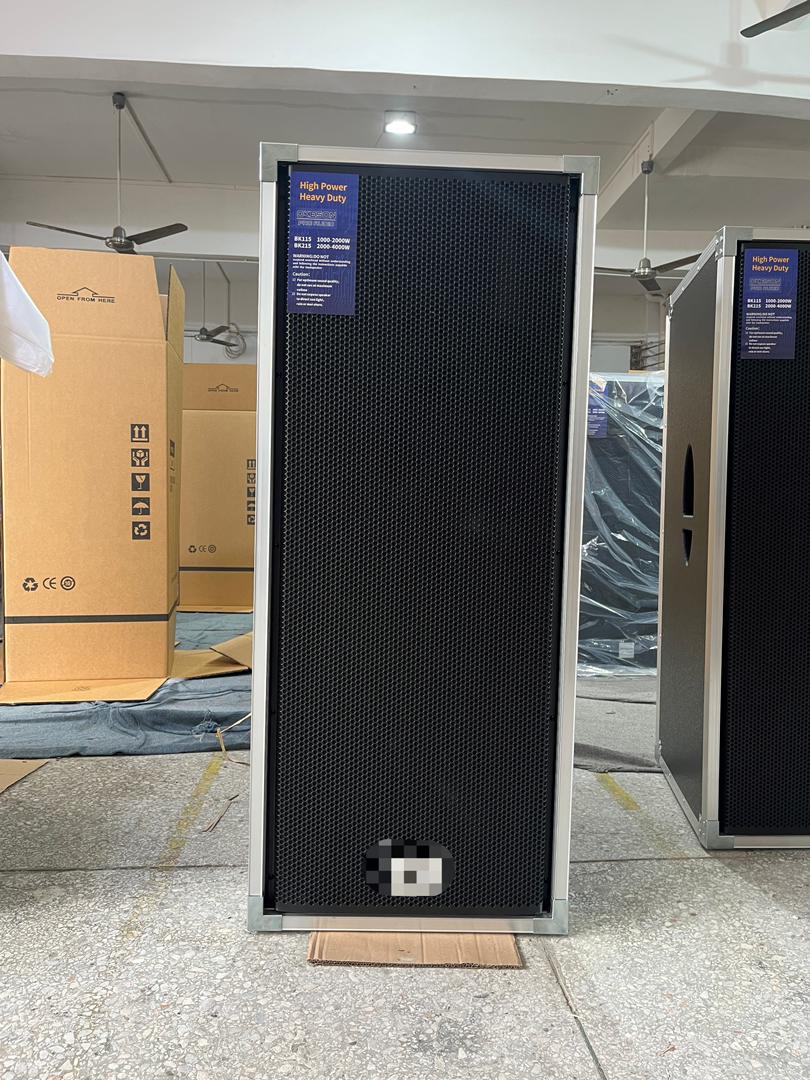 Dual 15 Inch Big Power Professional Audio Speaker Morin CM-215