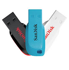 SANDISK SANDISK  8GB - USB 2.0 -BLADE FLASH DRIVE USB