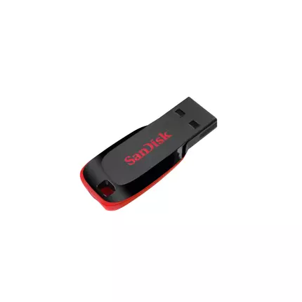 SanDisk 4GB 