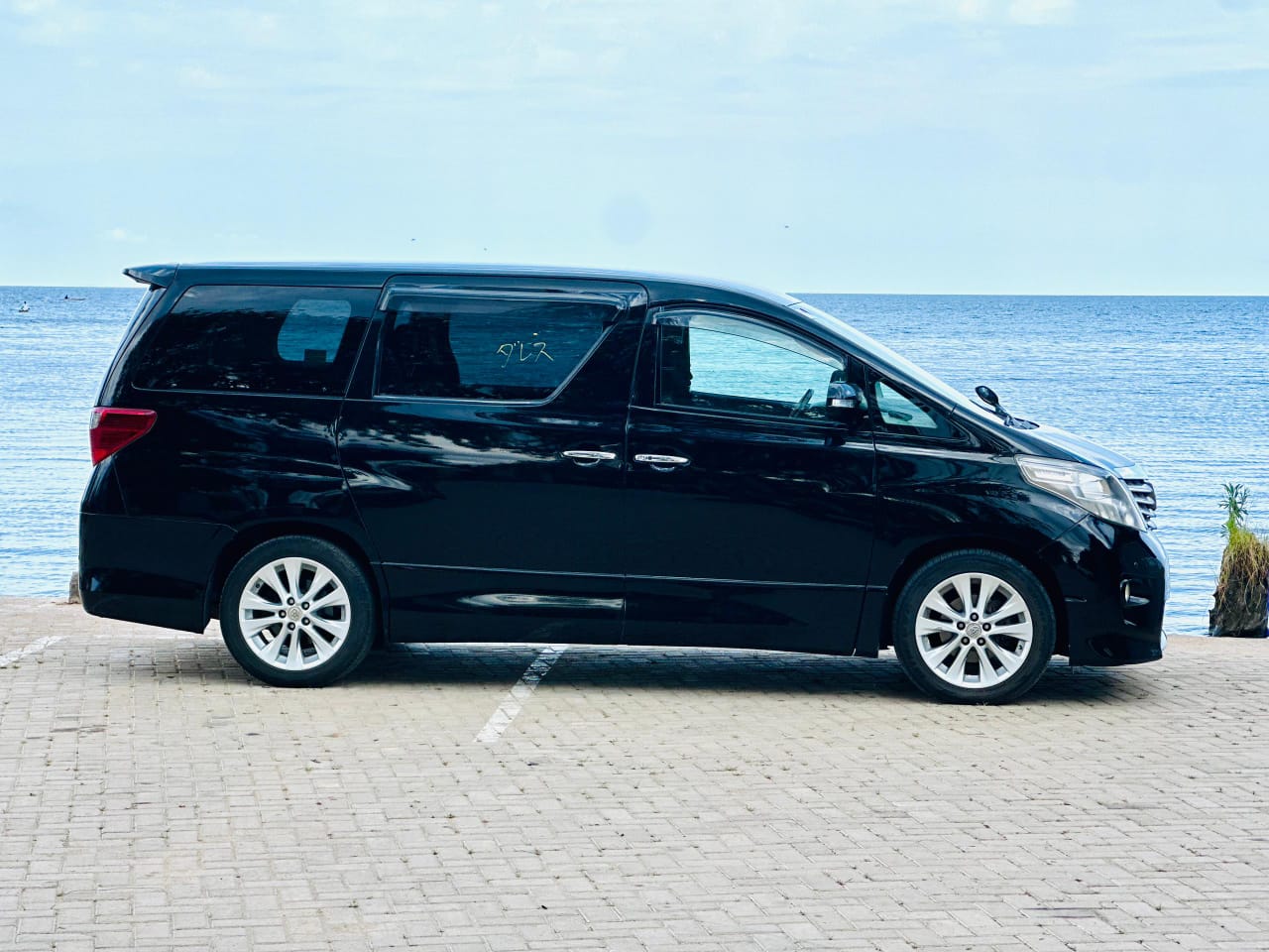 ALPHARD New Model